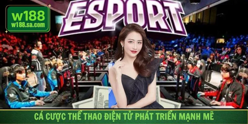 Cá cược thể thao điện tử rất phổ biến hiện nay