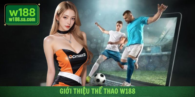 Các thông tin tổng quan về điểm đến giải trí thể thao tại W188