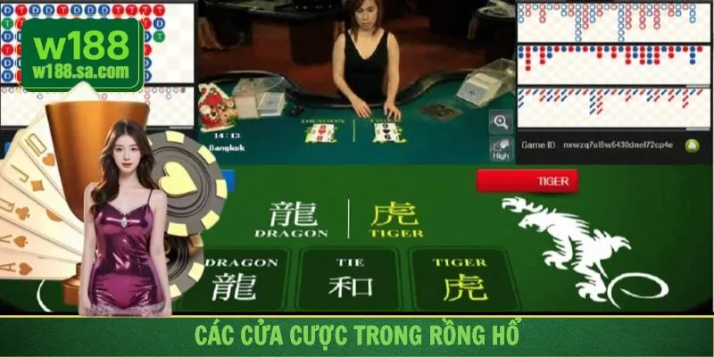 Cách đặt cược rồng hổ dựa trên xác suất các cửa