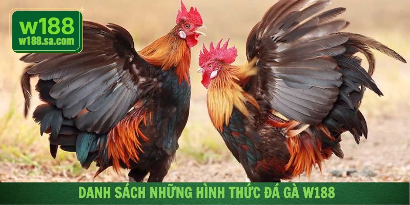 Những mô hình được tổ chức tại sảnh đá gà nổi tiếng