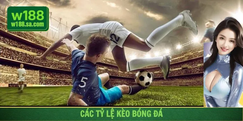 Soi kèo bóng đá hôm nay giúp người chơi dự đoán chính xác