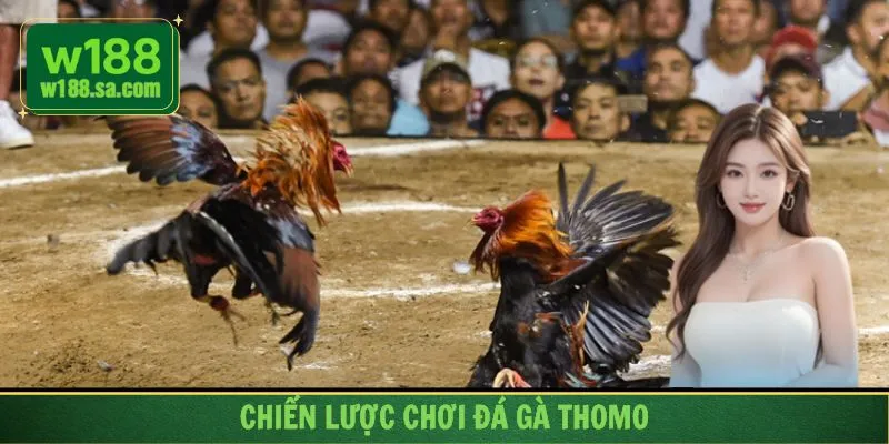 Xây dựng chiến lược cược hợp lý trước khi tham gia